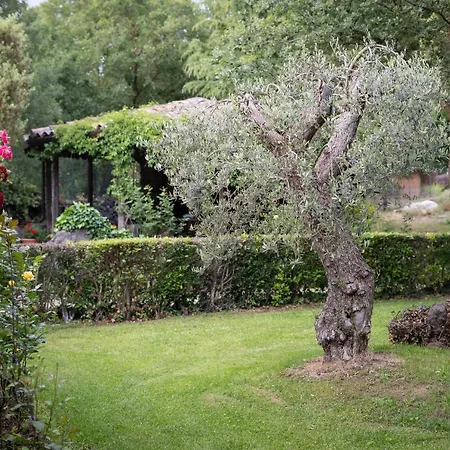 Villa Il Castagno Dell'etna *